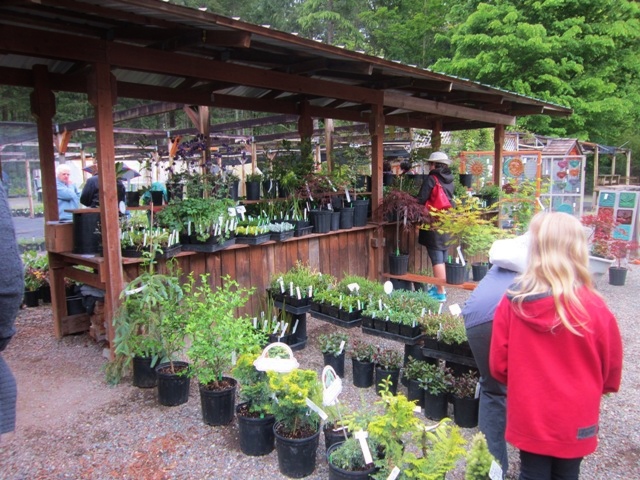 Sinds Maak een naam concert Plant Sales – Lake Wilderness Arboretum