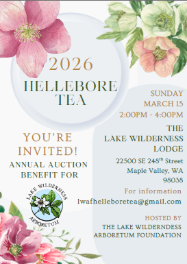 2026 Hellebore Tea Invitation image